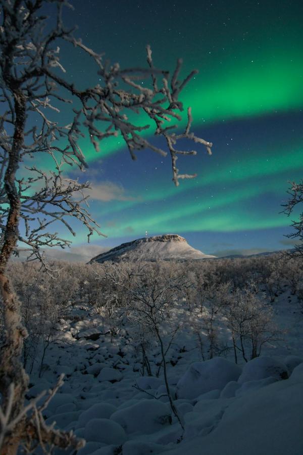 Aurora Huoneisto *