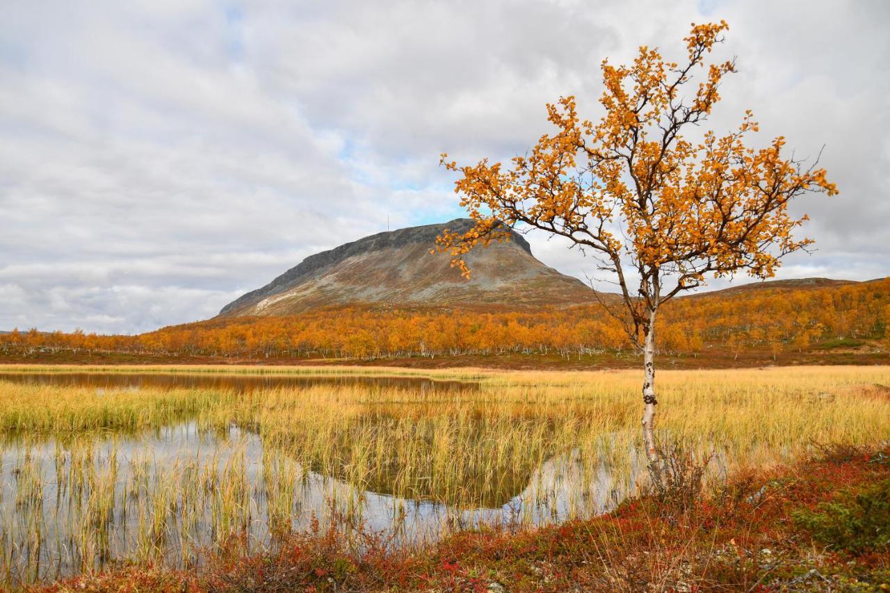 Huoneisto Aurora Kilpisjärvi
